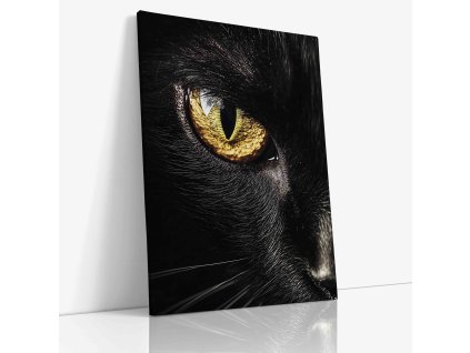 ANIMAL 0051 VIEW Canvas V mirror wr
