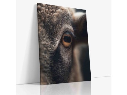 ANIMAL 0056 VIEW Canvas V mirror wr