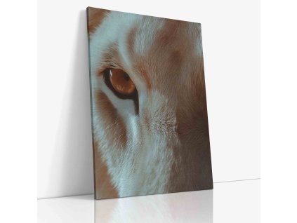 ANIMAL 0057 VIEW Canvas V mirror wr