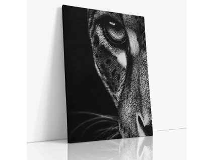 ANIMAL 0058 VIEW Canvas V mirror wr