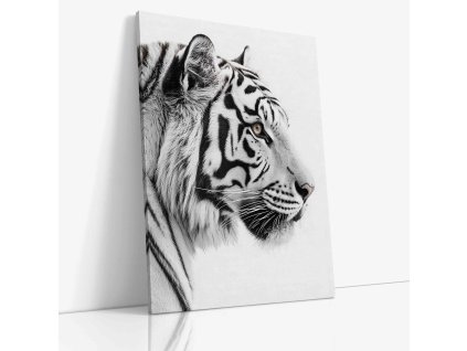 ANIMAL 0060 VIEW Canvas V mirror wr