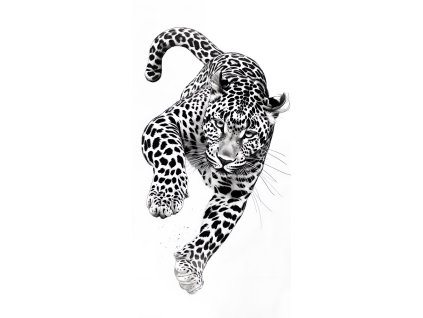 ANI 13 Obrazy na Plátně Jaguár black & white