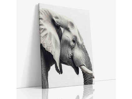 ANIMAL 0062 VIEW Canvas V mirror wr