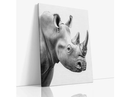 ANIMAL 0063 VIEW Canvas V mirror wr