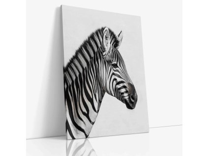 ANIMAL 0065 VIEW Canvas V mirror wr