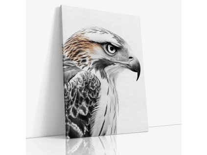 ANIMAL 0066 VIEW Canvas V mirror wr