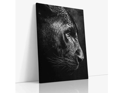 ANIMAL 0110 VIEW Canvas V mirror wr