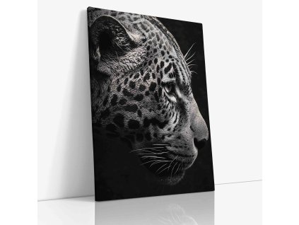 ANIMAL 0111 VIEW Canvas V mirror wr