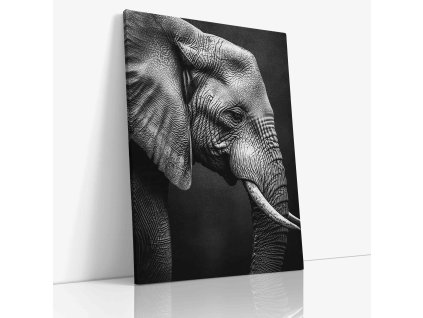 ANIMAL 0115 VIEW Canvas V mirror wr
