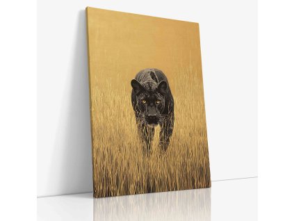 ANIMAL 0123 VIEW Canvas V mirror wr