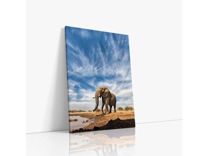Majestátní slon u klidné řeky, obraz na plátně, evokuje klid a sílu přírody.