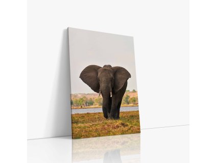 0848 Canvas V