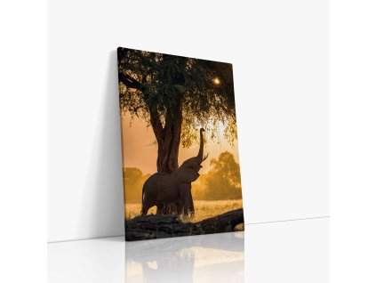 Majestátní slon v sytých barvách s jemným dotykem do korun stromů na plátně.