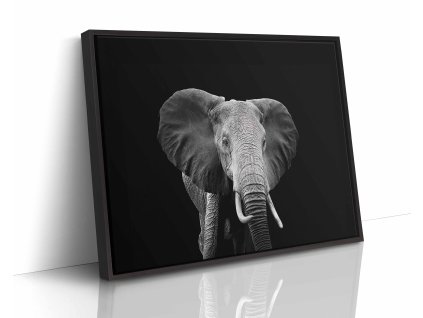 0857 FL frame H black image wrap copyblack
