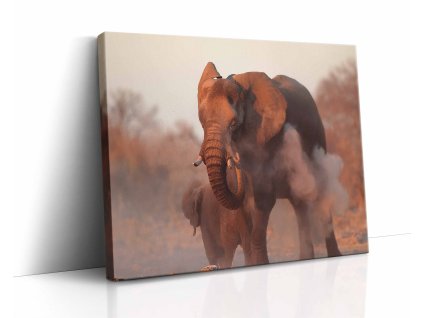 0861 canvas H image wrap