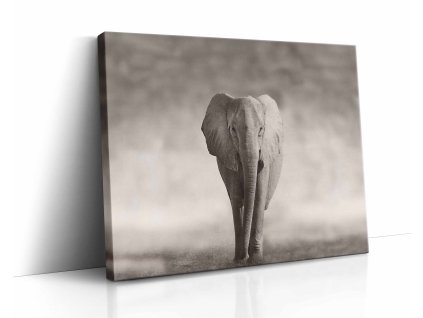 0862 canvas H image wrap
