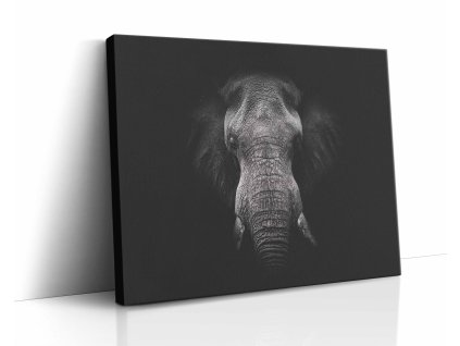 Majestátní černý slon na plátně, elegantní dekorace interiéru dodávající sílu a klid.