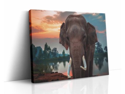 0864 canvas H image wrap