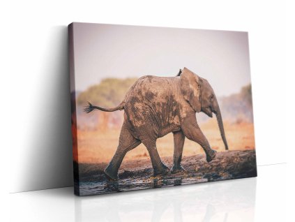 0867 canvas H image wrap