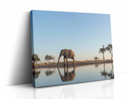 0868 canvas H image wrap