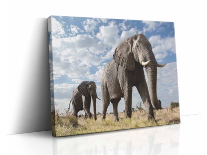 0869 canvas H image wrap