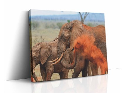 Obraz slon s pískem navodí klidnou atmosféru pouště s teplými odstíny písku na plátně.