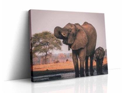 0873 canvas H image wrap