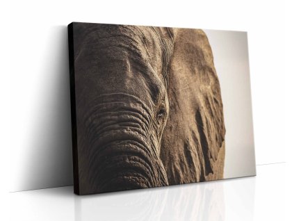 0874 canvas H image wrap