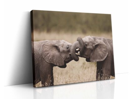 0879 canvas H image wrap