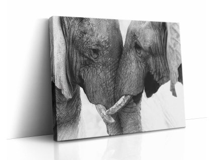 0880 canvas H image wrap