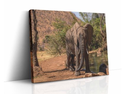 0882 canvas H image wrap