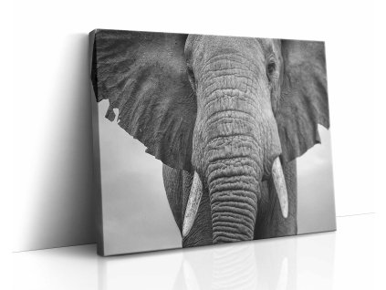 0883 canvas H image wrap