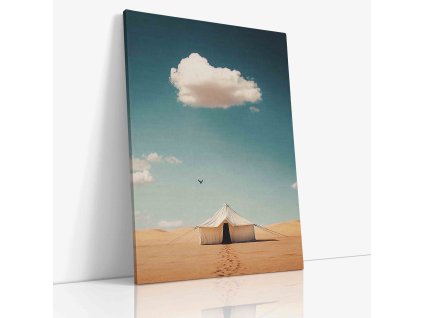 PDCH 0012 Canvas V mirror wr