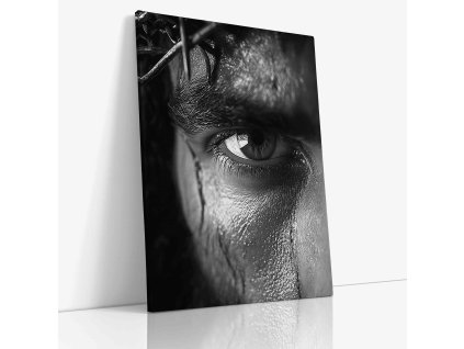 PDCH 0023 Canvas V mirror wr