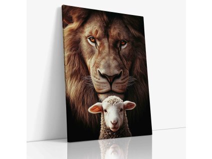 PDCH 0034 Canvas V mirror wr