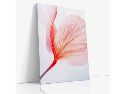 PDFLOWER 0009 VIEW Canvas V mirror wr