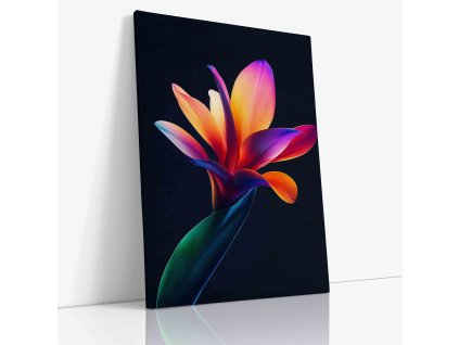 PDFLOWER 0017 VIEW Canvas V mirror wr