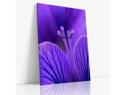 PDFLOWER 0025 VIEW Canvas V mirror wr