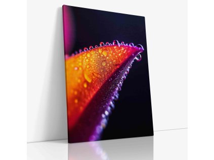 PDFLOWER 0026 VIEW Canvas V mirror wr