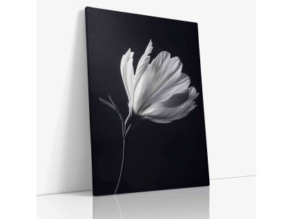 PDFLOWER 0032 VIEW Canvas V mirror wr