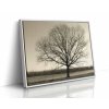 0286 FL white frame H mirror copy