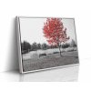 0294 FL white frame H mirror copy