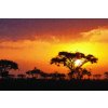 1373 obraz africky vychod slunce obraz na platne