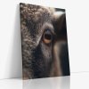 ANIMAL 0056 VIEW Canvas V mirror wr