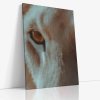 ANIMAL 0057 VIEW Canvas V mirror wr