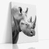 ANIMAL 0063 VIEW Canvas V mirror wr