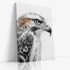 ANIMAL 0066 VIEW Canvas V mirror wr