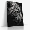 ANIMAL 0111 VIEW Canvas V mirror wr