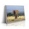 0870 FL white frame H mirror copywhite