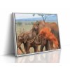 Zachyťte krásu přírody s tímto plátnem slona v poušti, dokonalý doplněk pro váš obývací pokoj.